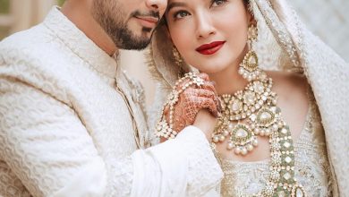 Gauhar khan Zaid darbar Marriage