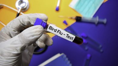 Bird flu in uttar pradesh