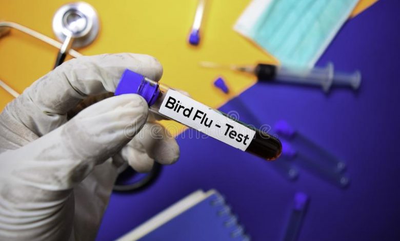 Bird flu in uttar pradesh